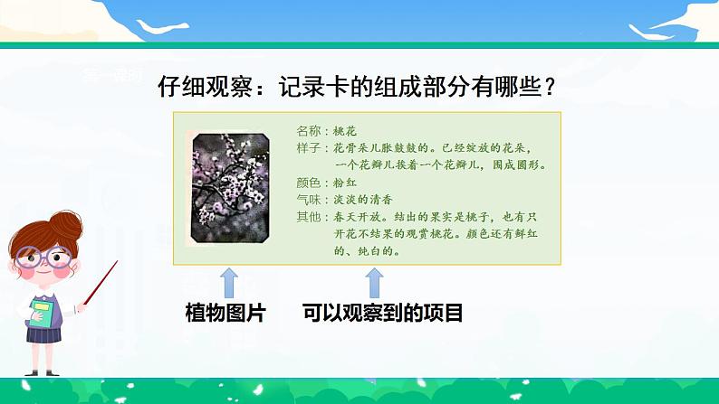 【核心素养】部编版小学语文 三年级下册习作.我的植物朋友 课件.docx第8页