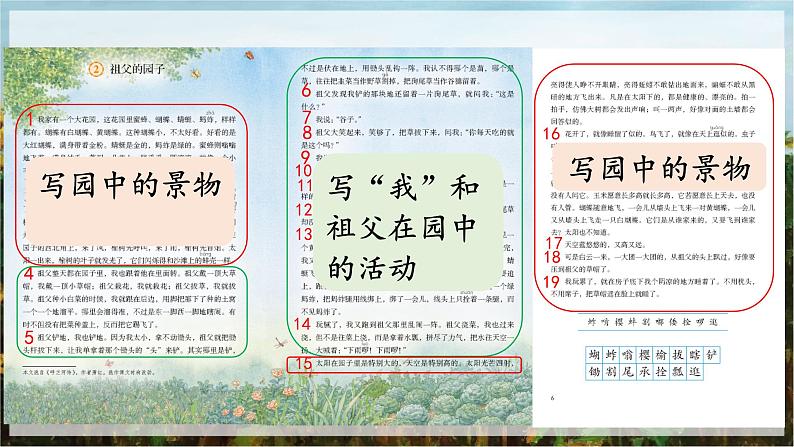 【核心素养目标】人教部编版小学语文五年级下册 《2.祖父的园子》课件+教案+同步分层练习（含教学反思和答案）08