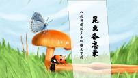 人教部编版三年级下册昆虫备忘录完美版习题课件ppt
