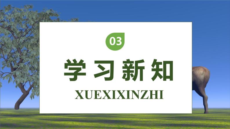 【核心素养】部编版语文三年级下册-7. 鹿角和鹿腿 第1课时（课件+教案+学案+习题）08