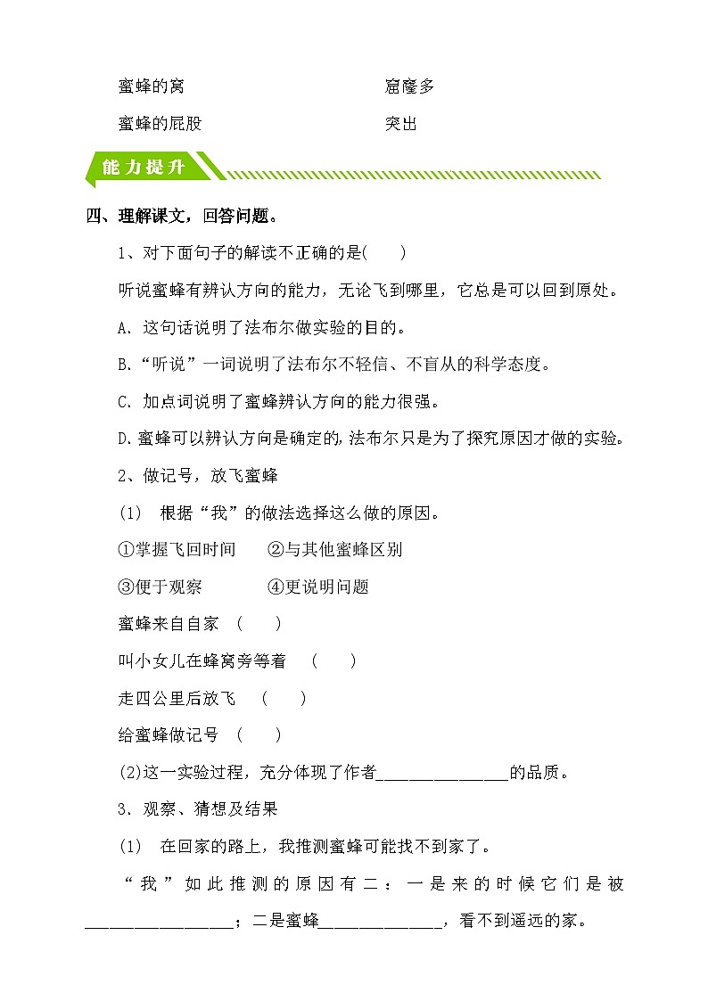 【核心素养】部编版语文三年级下册-14. 蜜蜂 第2课时（课件+教案+学案+习题）02