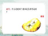 部编版小学语文四年级下册 《语文园地二》 课件PPT