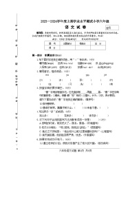 河南省驻马店市确山县2023-2024学年六年级上学期1月期末语文试题