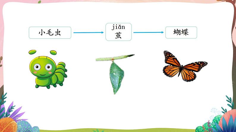 人教部编版语文二年级下册 第二十二课《小毛虫》第二课时 课件+教案03