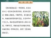 人教部編版語文六年級下冊 第五課《魯賓遜漂流記(節(jié)選)》第一課時 課件