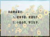 【核心素养目标】人教部编版小学语文五年级下册 《2.祖父的园子》课件+教案+同步分层练习（含教学反思和答案）