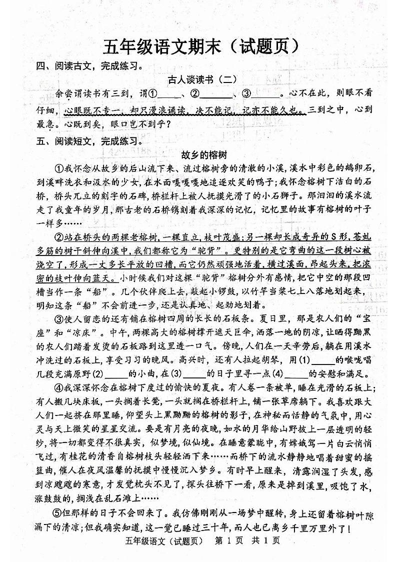 山东省菏泽市2023-2024学年五年级上学期1月期末语文试题第3页