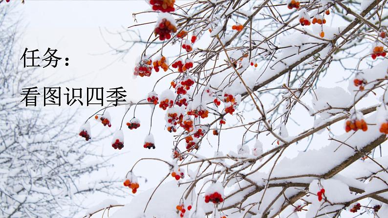 【核心素养目标】部编版小学语文一年级下册 识字1 春夏秋冬 课件+教案（含教学反思） +素材06