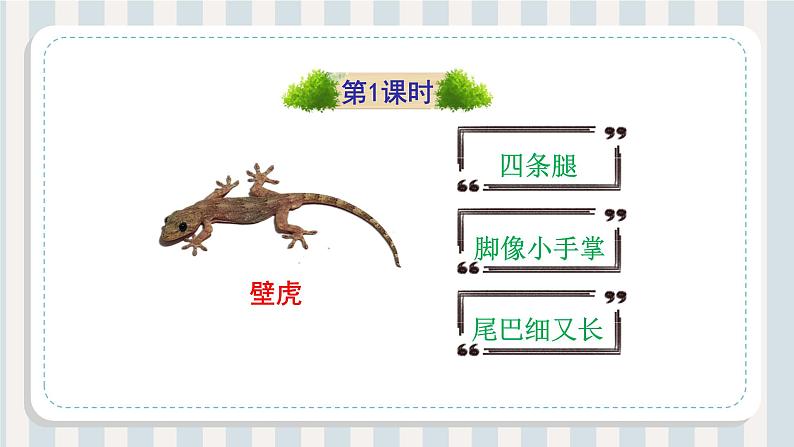 人教部编版一年级语文下册小壁虎借尾巴课件第4页