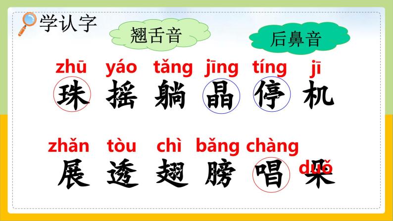 【核心素养目标】部编版小学语文一年级下册 课文12 荷叶圆圆 课件+教案（含教学反思） +素材05