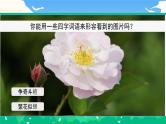 【核心素养】部编版小学语文 三年级下册13.花钟 课件＋教案（含教学反思）pptx