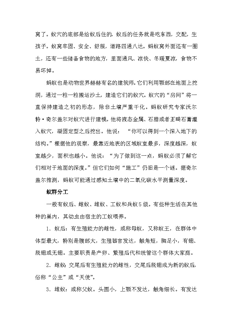 【核心素养】部编版语文三下 4《昆虫备忘录》课件+教案+音视频素材02