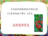 【核心素养】部编版语文三下 习作一：我的植物朋友（课件+教案+音视频素材）