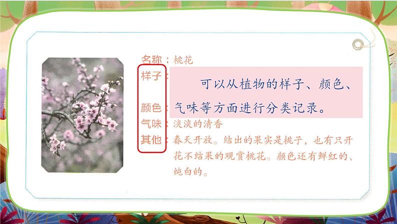 习作：我的植物朋友 第一课时第7页