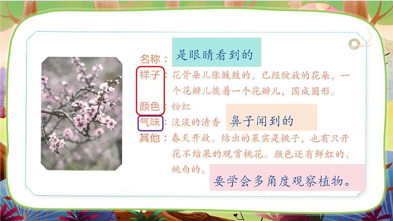 习作：我的植物朋友 第一课时第8页