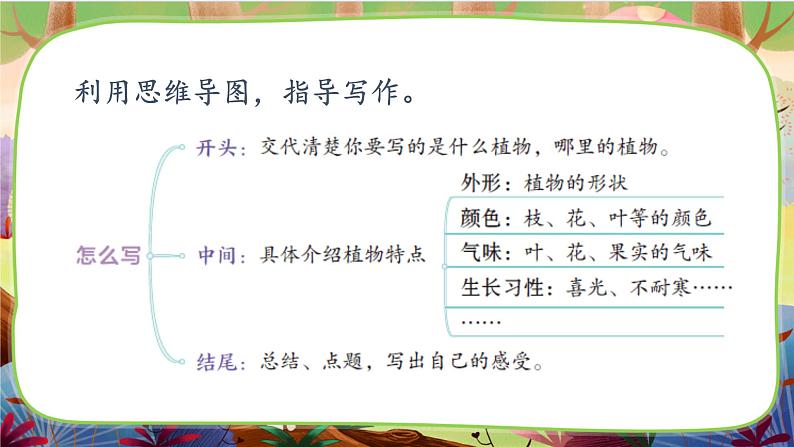 习作：我的植物朋友 第二课时第4页