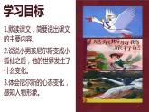 骑鹅旅行记（节选）（课件）
