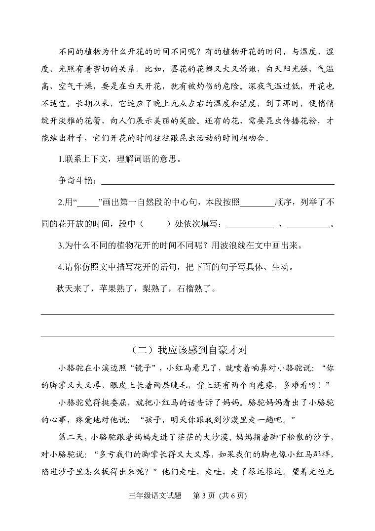 山东省日照市五莲县2020-2021学年三年级下学期期末考试语文试题03