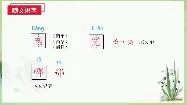 统编版二年级语文上册 1 小蝌蚪找妈妈   课件05