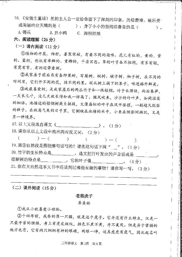 广州南沙区2023-2024三年级上册语文期末试卷03