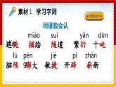 【核心素养目标】部编版小学语文四年级下册 6 飞向蓝天的恐龙 课件+教案（含教学反思） +素材
