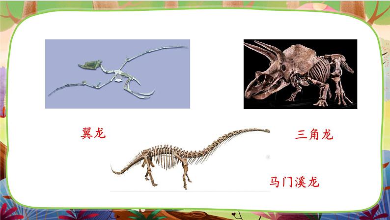 6.飞向蓝天的恐龙 第一课时第5页