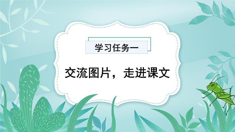 【新课标】部编版语文二下 11《我是一只小虫子》课件+教案+分层作业+任务单+课文朗读02