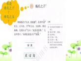 部编版五下语文1_《21 杨氏之子》课件