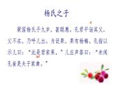 部编版五下语文1_《21. 杨氏之子》课件