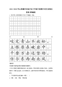 2021-2022年山东德州市经开区六年级下册期中语文试卷及答案(部编版)