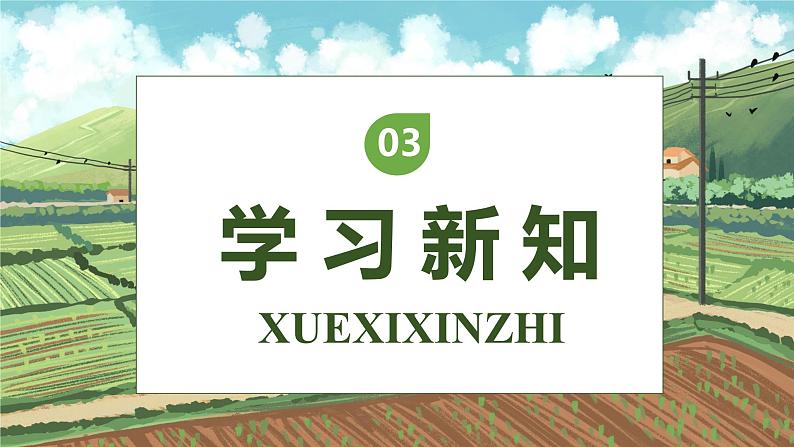 【核心素养】部编版语文四年级下册-2.乡下人家 第1课时（课件+教案+导学案+分层作业）08