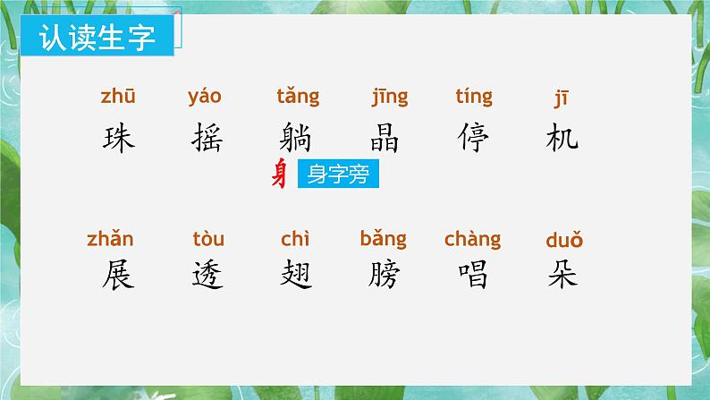 【新课标】部编版语文一下 12《荷叶圆圆》课件+教案+分层作业+任务单+课文朗读06