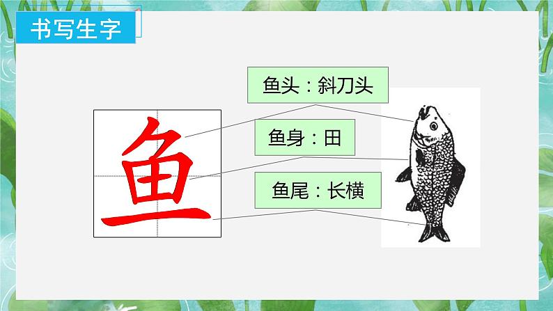 【新课标】部编版语文一下 12《荷叶圆圆》课件+教案+分层作业+任务单+课文朗读08