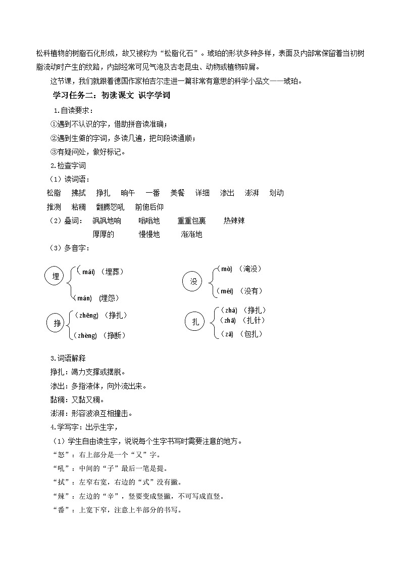 部编版语文四年级下册 第5课《琥珀》（第一课时） 同步课件+同步教案02