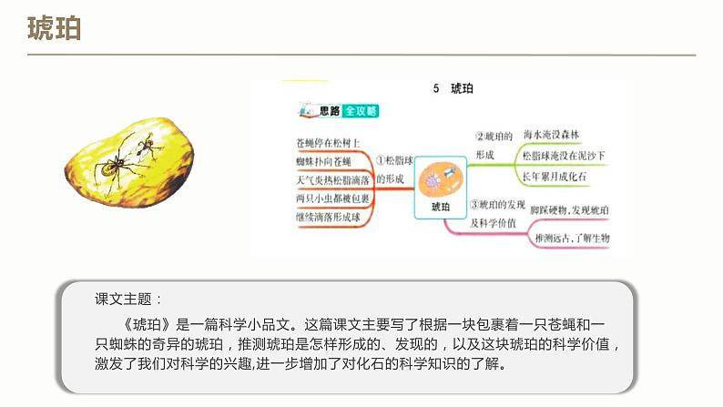 部编版语文四年级下册 第二单元（复习） 同步课件04