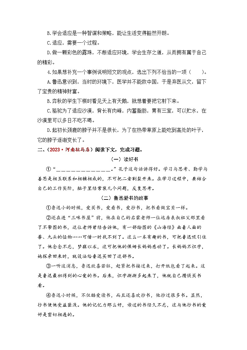 专题10+课外现代文阅读（一）-2024年小升初语文考点精准练（统编版）第2页