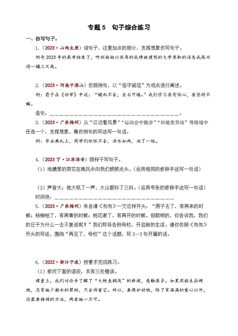 专题5+句子综合练习-2024年小升初语文考点精准练（统编版）01