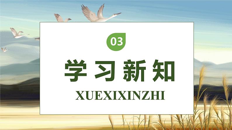 【核心素养】部编版语文四年级下册-6.飞向蓝天的恐龙 第1课时（课件+教案+导学案+分层作业）08