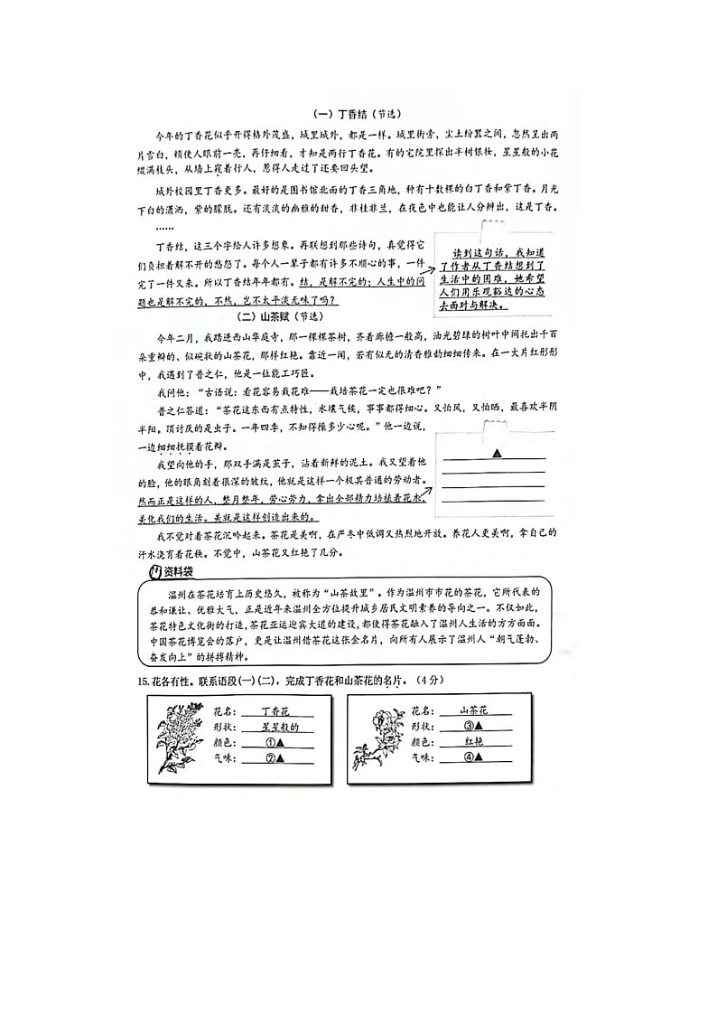 浙江省温州市龙湾区2023-2024学年六年级上学期期末语文试题03