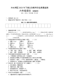 04，湖南省永州市冷水滩区2023-2024学年六年级上学期期末考试语文试题