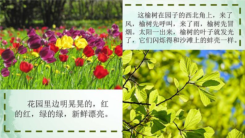 2《祖父的园子》课件+朗读+练习（部编版语文五下）08