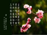 4《梅花魂》课件+朗读+练习（部编版语文五下）