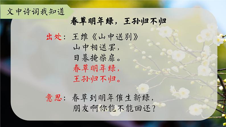 4《梅花魂》课件+朗读+练习（部编版语文五下）07