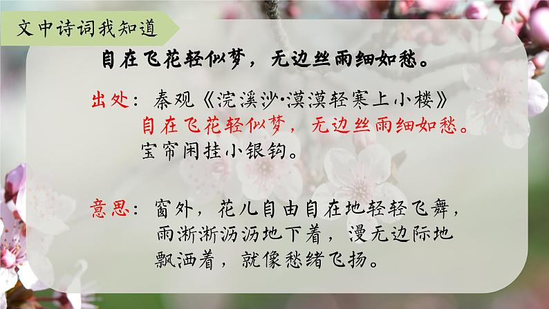 4《梅花魂》课件+朗读+练习（部编版语文五下）08