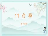 四年级语文下册上课课件 第三单元 11.白桦第一课时