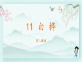 四年级语文下册上课课件 第三单元 11.白桦第二课时