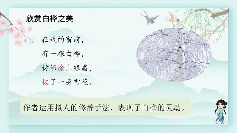 四年级语文下册上课课件 第三单元 11.白桦第二课时第4页