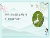 四年级语文下册上课课件 第四单元 15.白鹅第二课时
