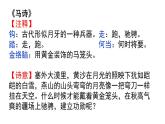 第四單元復(fù)習(xí)（課件）-部編版語文六年級(jí)下冊(cè)