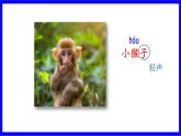 部缟1语下 第7单元 17.《小猴子下山》 PPT课件+教案